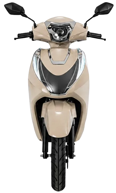 Front View